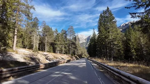 Lush Pine Forest Mountain Road Stock Footage 292156868