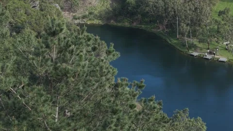Lush pine trees revealing a beautiful blue lake Stock Footage 339377022