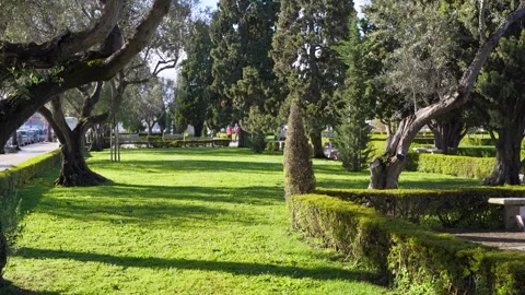 Lush public park in Lisbon during sunny sunrise Stock Footage 274530897