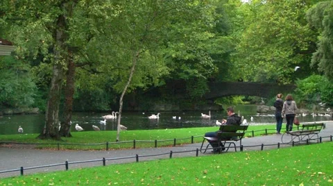 Lush Public Park Scene Stock Footage 42478321