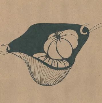 Lush pumpkins in a black hat on a background of kraft paper Stock Illustration