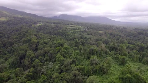 Lush rainforest blankets mountain foothills near La Fortuna, Costa Rica Vídeo Stock 345631402