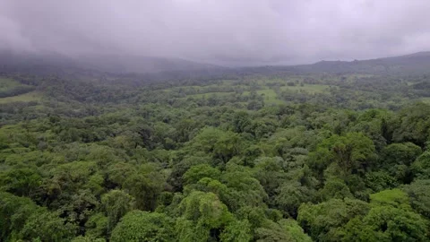 Lush rainforest canopy rolls toward misty Arenal Volcano in Costa Rica Vídeo Stock 345631610