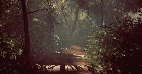 Lush rainforest path illuminated by soft sunlight filtering through leaves Illustration
