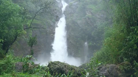 Lush Rainforest Waterfall Cascading Through Misty Cliffs Stock Footage 301087483