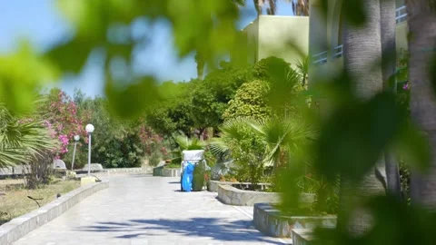 A lush resort pathway surrounded by greenery in 4K slow motion 120fps Stock Footage 292759962