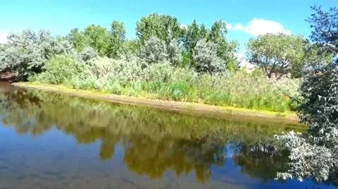 Lush River Bank Carson River Video stock 40751035