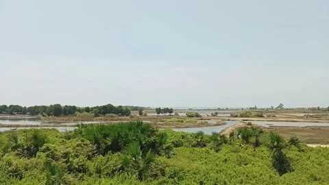 Lush River Landscape with Clear Sky Stock Footage 288435848