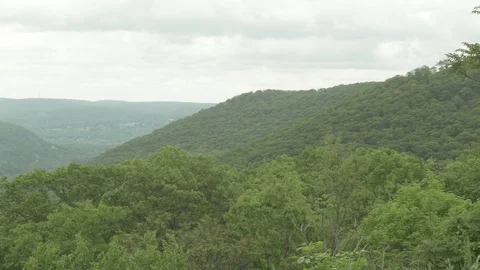 Lush River Valley Stock Footage 77173287