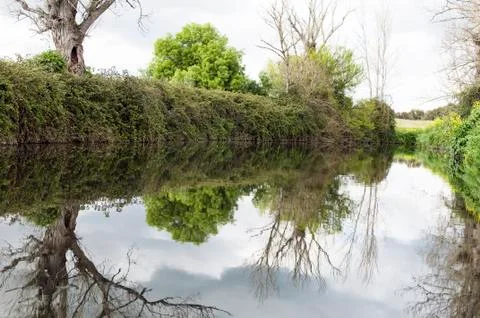 Lush riverbank Stock Photos