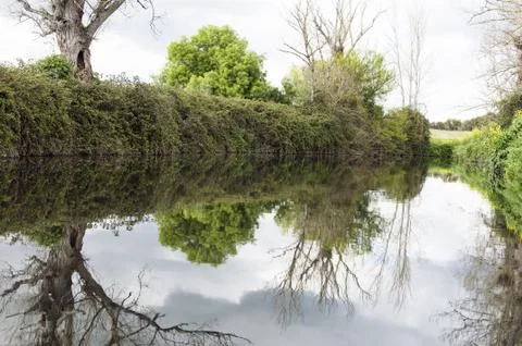 Lush riverbanks Stock Photos