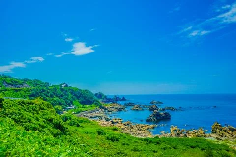 The lush road on the seaside Stock Photos