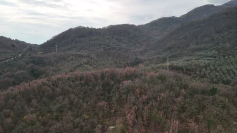 Lush rolling hills in autumn or spring season during rainy day weather, grey Stock Footage 318824313