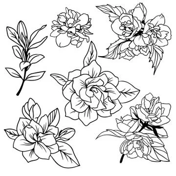 Lush spring flowers with leaves, vector art Stock Illustration