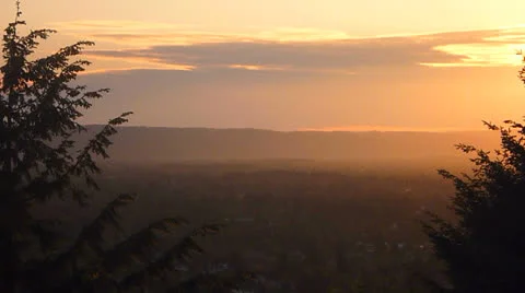 Lush Sunset Stock Footage 24473349