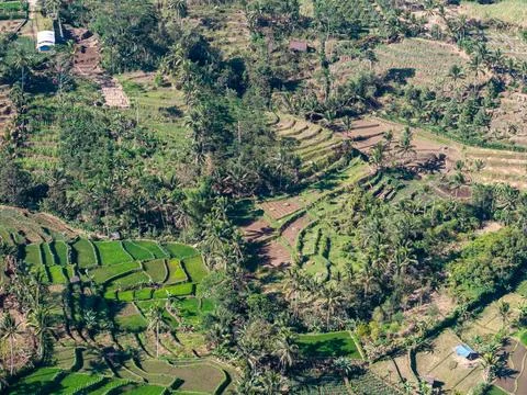 Lush terraced fields cascade down forested hillsides Stock-Fotos