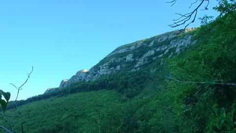 Lush trees sway gently in a calm breeze. Mount Rtanj, Serbia Vidéo 342315526