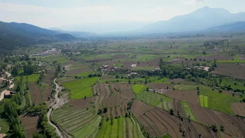 Lush Trees Within Farming Environment Stock Footage 274533808