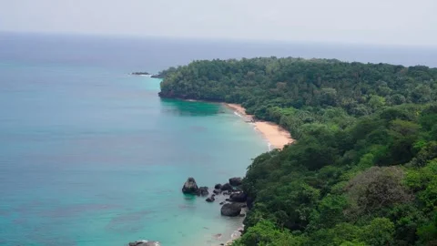 Lush Tropical Beach Stock Footage 330802375