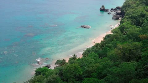 Lush Tropical Beach Stock Footage 330802377
