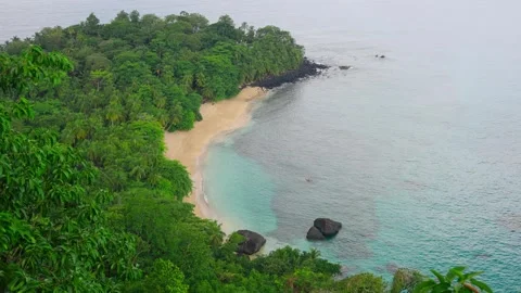 Lush Tropical Beach Stock Footage 330802380