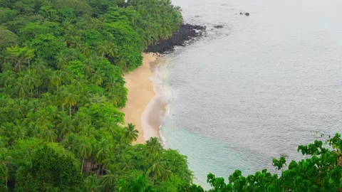 Lush Tropical Beach Stock Footage 330802383