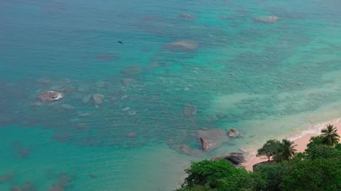 Lush Tropical Beach Stock Footage 330802387