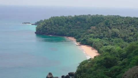 Lush Tropical Beach Stock Footage 330802388