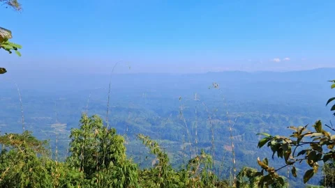 Lush tropical forest landscape with mountain view and clear blue sky Vídeo Stock 331657484