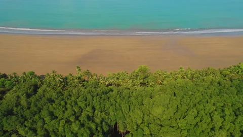 Lush tropical forest meets sandy shore at Marino Ballena National Park in Costa Stock Footage 344773121