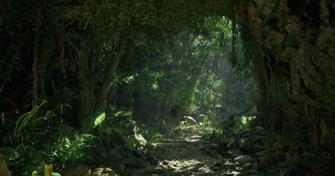 Lush tropical forest path with sunlight filtering through foliage at midday Stock Illustration