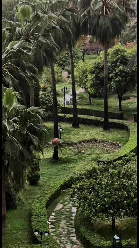 Lush tropical garden with palm trees and rain Stock Footage 305908063