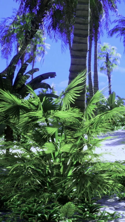 Lush tropical greenery dances under a brilliant blue sky in paradise Vídeo Stock 334243152