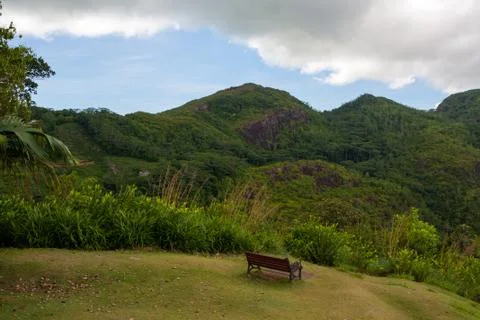 Lush Tropical Jungle Landscape, View with Bench - Seychelles, Mahe Stock Photos