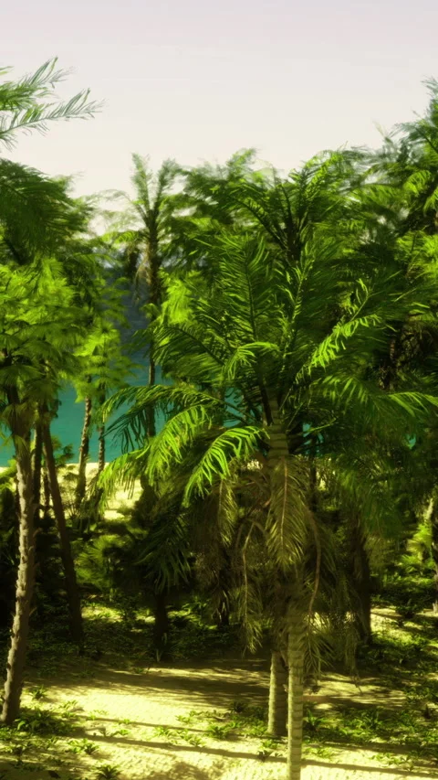 Lush tropical landscape with palm trees and serene waters in the background Stock Footage 325075649