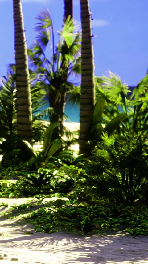Lush tropical landscape with palm trees and greenery near the beach Stock Footage 336987686