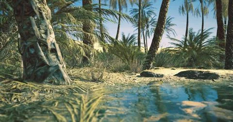 Lush tropical oasis with palm trees and tranquil water under the blue sky Stock Illustration