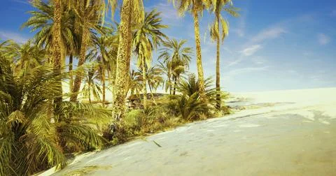 Lush tropical palm trees lining a beautiful sandy beach under clear skies Ilustración de archivo
