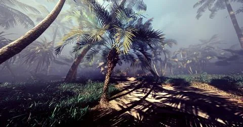 Lush tropical pathway under palm trees during a misty morning Stock Illustration