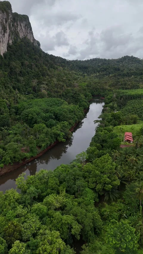 Lush Tropical Rainforest River Valley with Karst Mountains in Khao Sok, Thailand Stock Footage 335962291