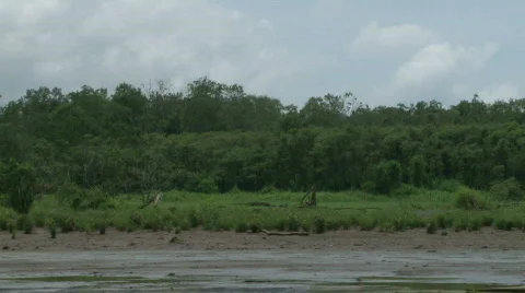 Lush Tropical River Float Down Costa Rica 01 Stock-Footage 621551