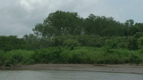 Lush Tropical River Float Down Costa Rica 02 Stock Footage 621553