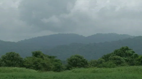 Lush Tropical River Float Down Costa Rica 05 Stock Footage 621563