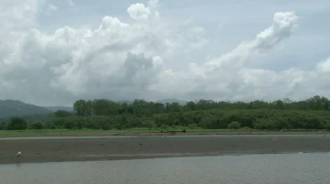 Lush Tropical River Float Down Costa Rica 07 Stock Footage 621567