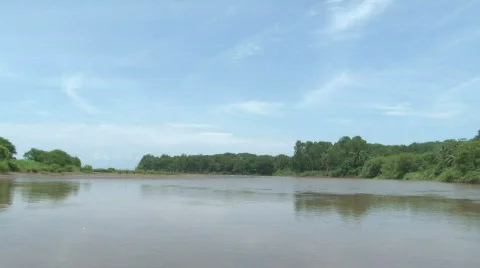 Lush Tropical River Float Down - Costa Rica Tarcoles River 09 Stock Footage 621674