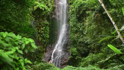 Lush Tropical Waterfall Cascading Down Rocky Face Amidst Vibrant Greenery Stock Footage 301088228