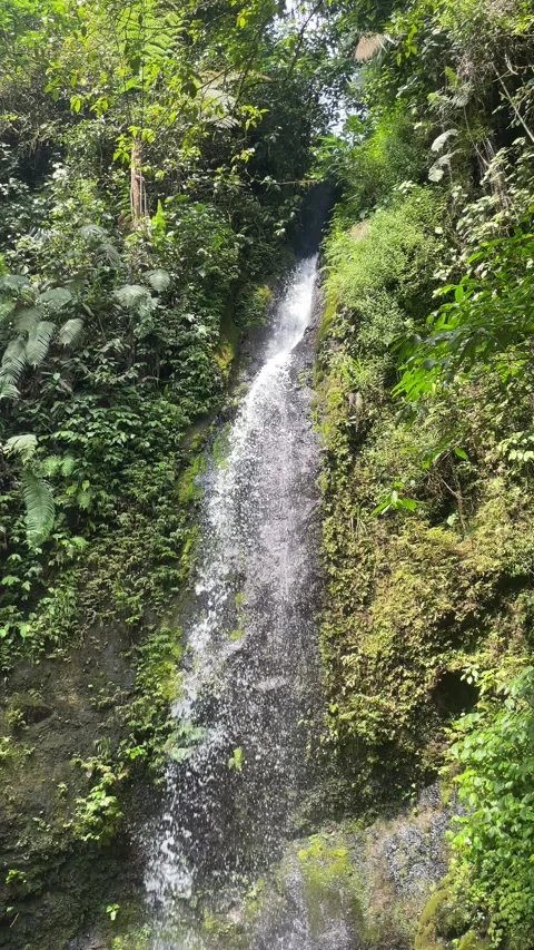 Lush Tropical Waterfall Cascading Through Green Jungle Stock Footage 287071964