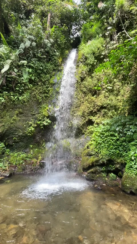 Lush Tropical Waterfall Cascading Through Green Jungle Stock Footage 287071994