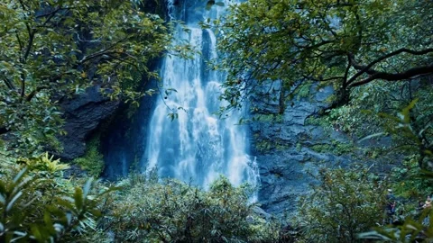 Lush Tropical Waterfall Cascading Through Vibrant Green Foliage Stock Footage 301088066