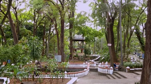 Lush urban park with dense trees, landscaped paths, and small central structure Vídeo Stock 334629593